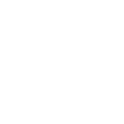 Toronto Raptors