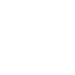 Utah Jazz